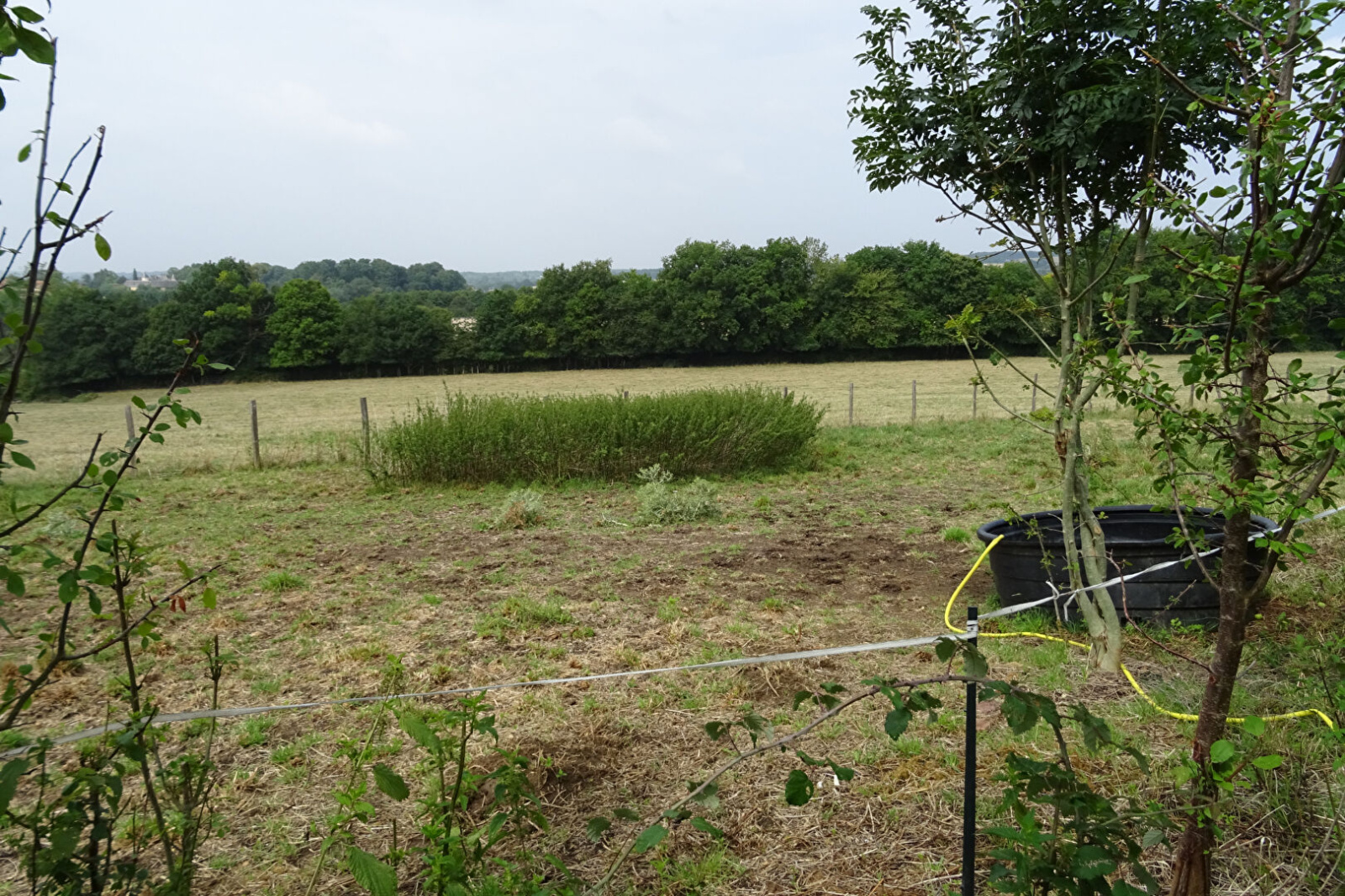 Image_, Maison, Gréez-sur-Roc, ref :2354