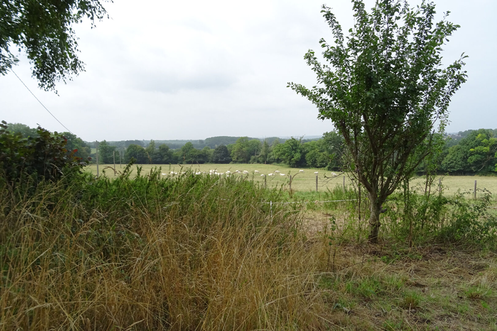 Image_, Maison, Gréez-sur-Roc, ref :2354