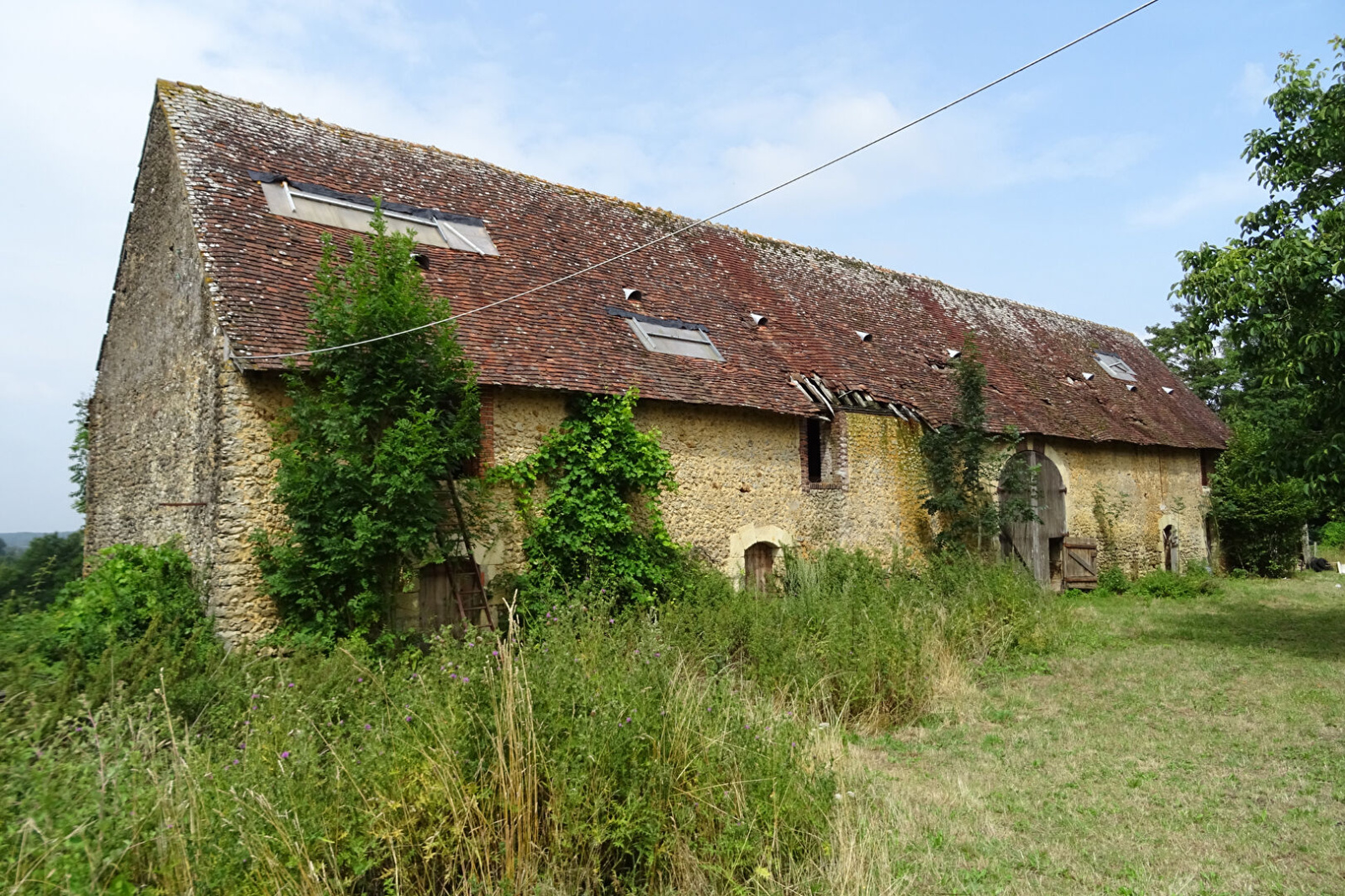 Image_, Maison, Gréez-sur-Roc, ref :2354