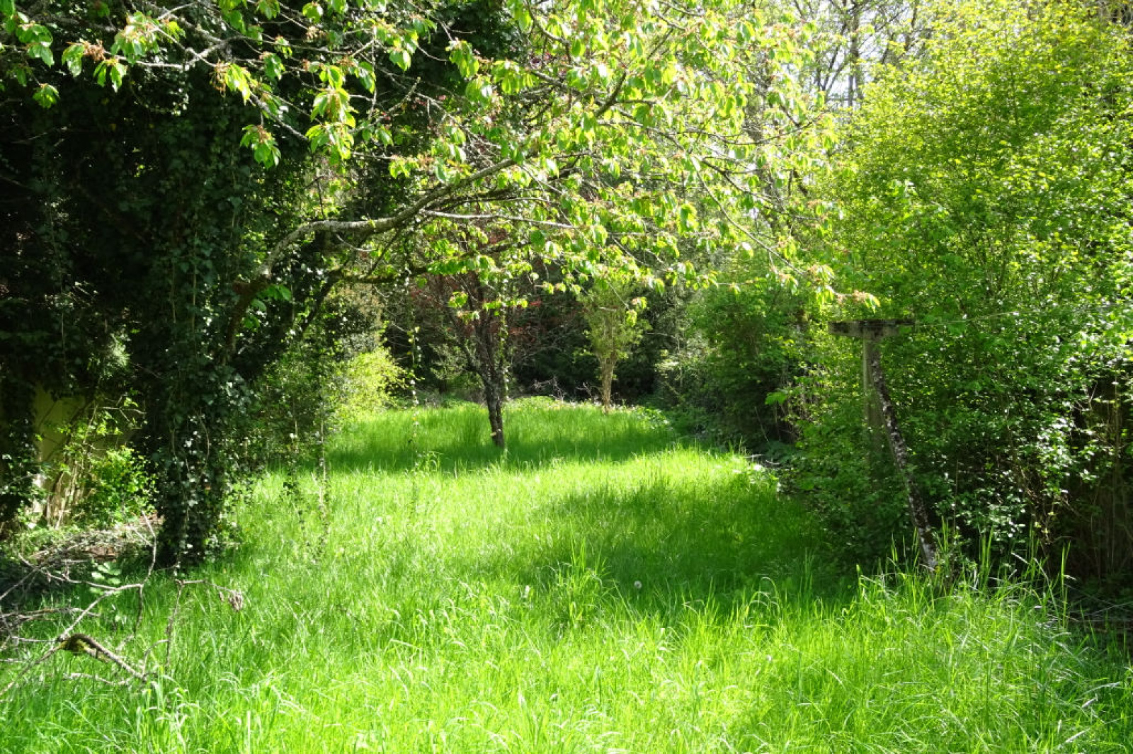 Image_, Maison, La Bazoche-Gouet, ref :2383