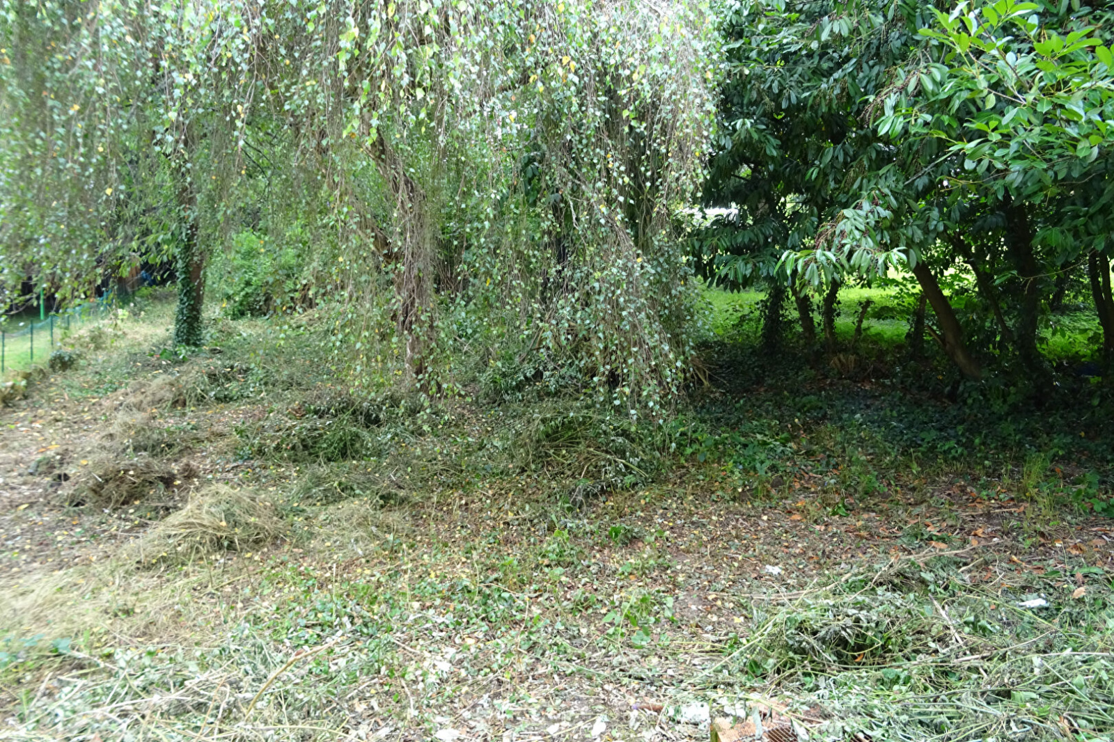 Image_, Maison, Authon-du-Perche, ref :2353