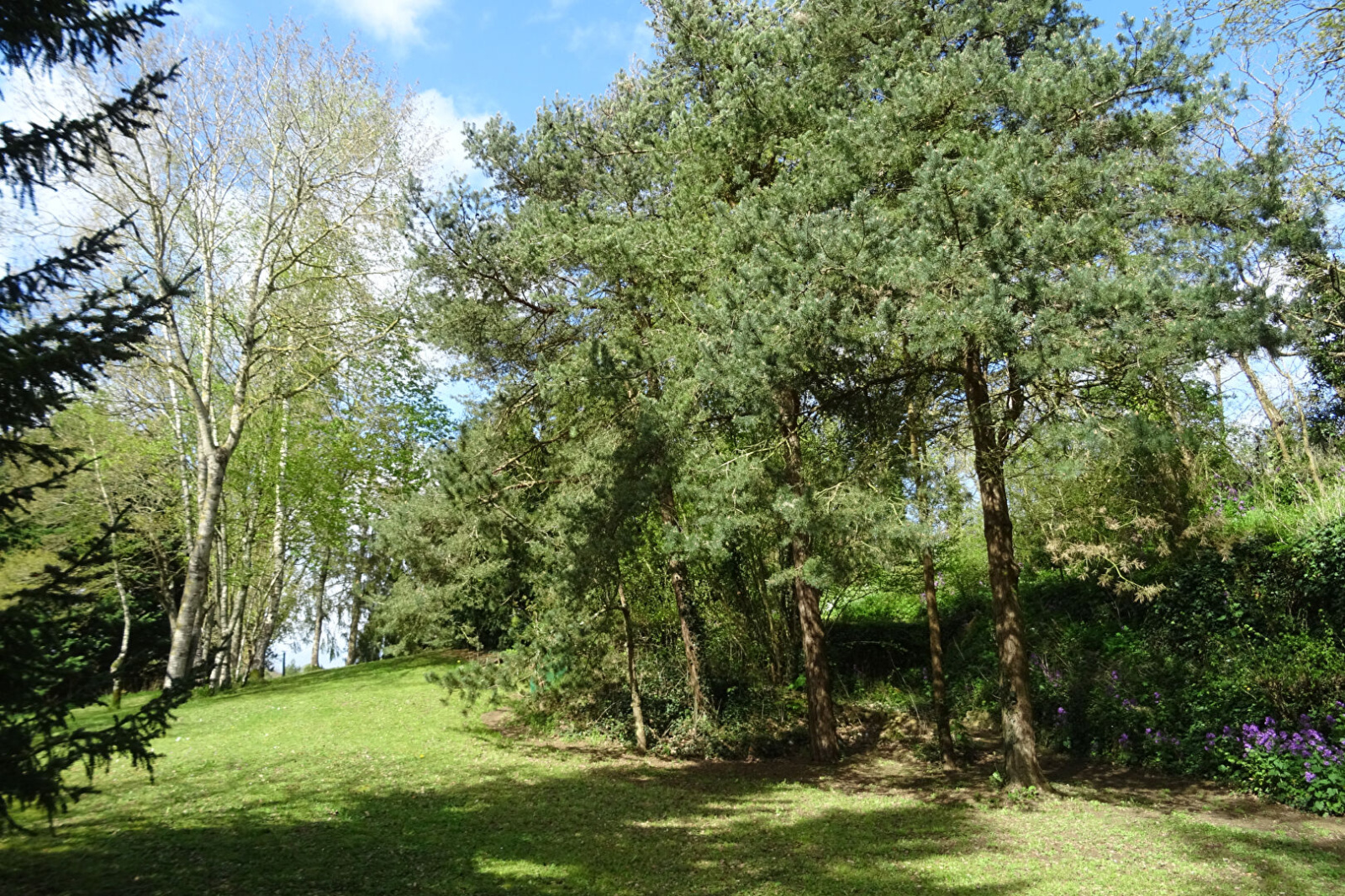 Image_, Maison, Authon-du-Perche, ref :2361