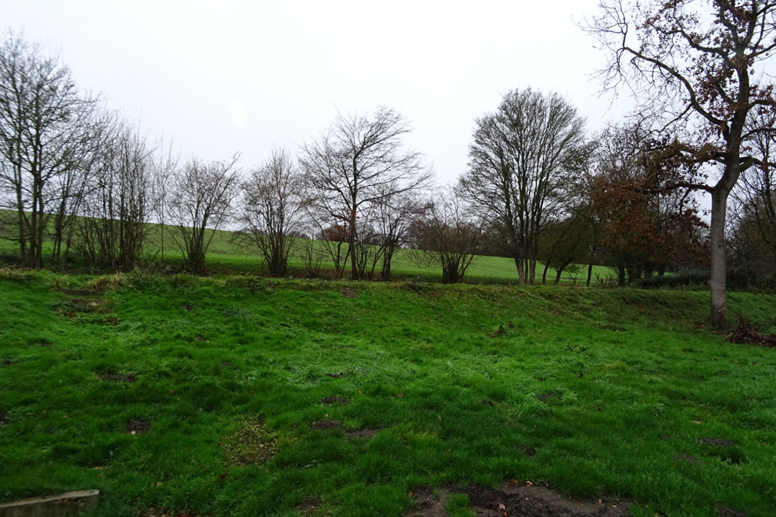 Image_, Maison, Authon-du-Perche, ref :2347