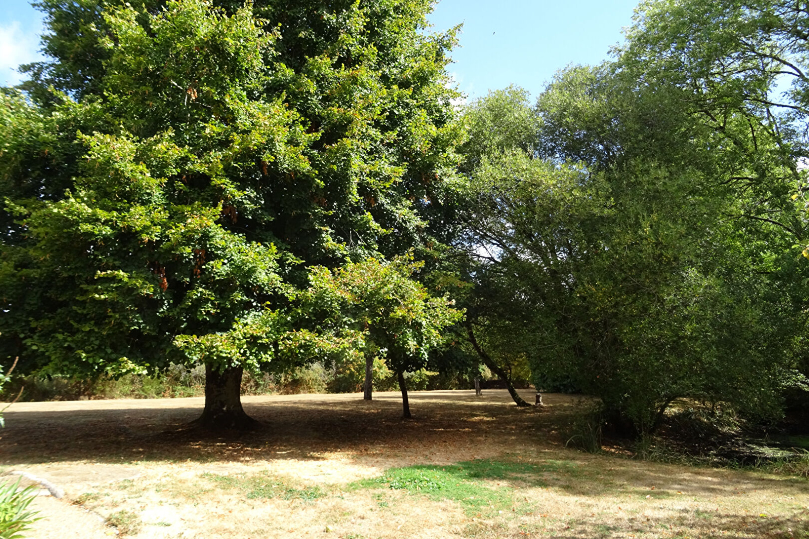 Image_, Maison, Brou, ref :1497